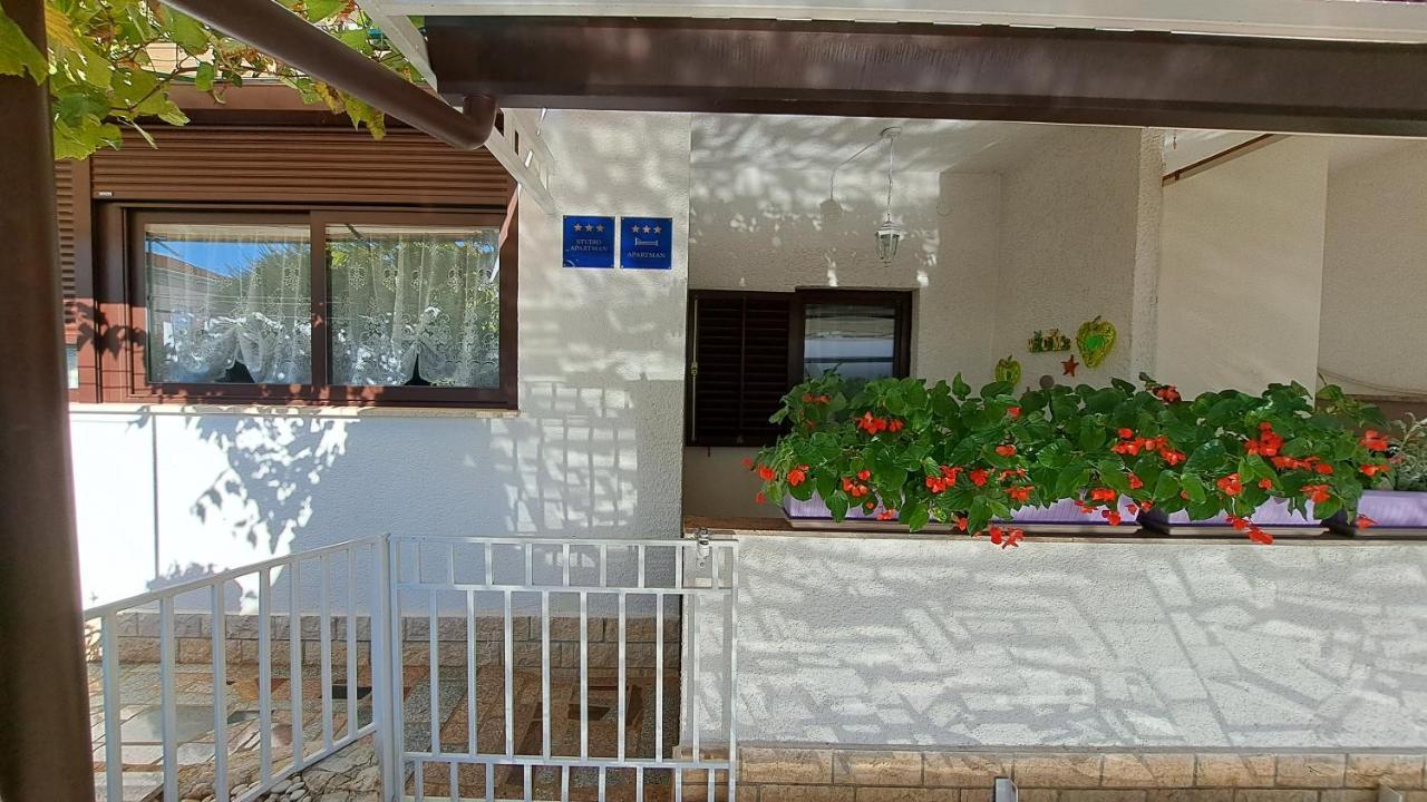 Apartments Anic Novigrad Istria Buitenkant foto
