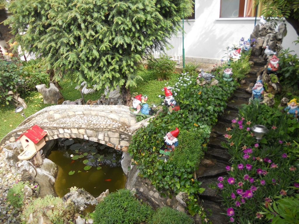 Apartments Anic Novigrad Istria Buitenkant foto