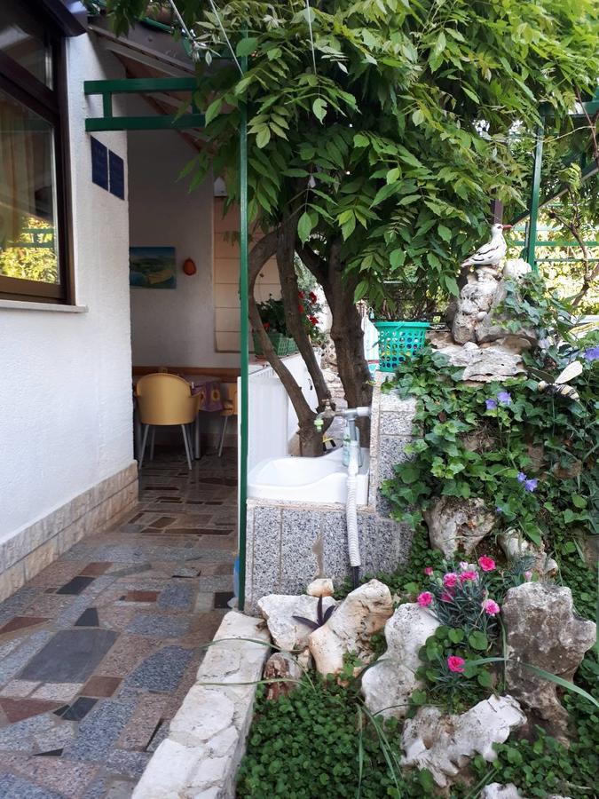 Apartments Anic Novigrad Istria Buitenkant foto