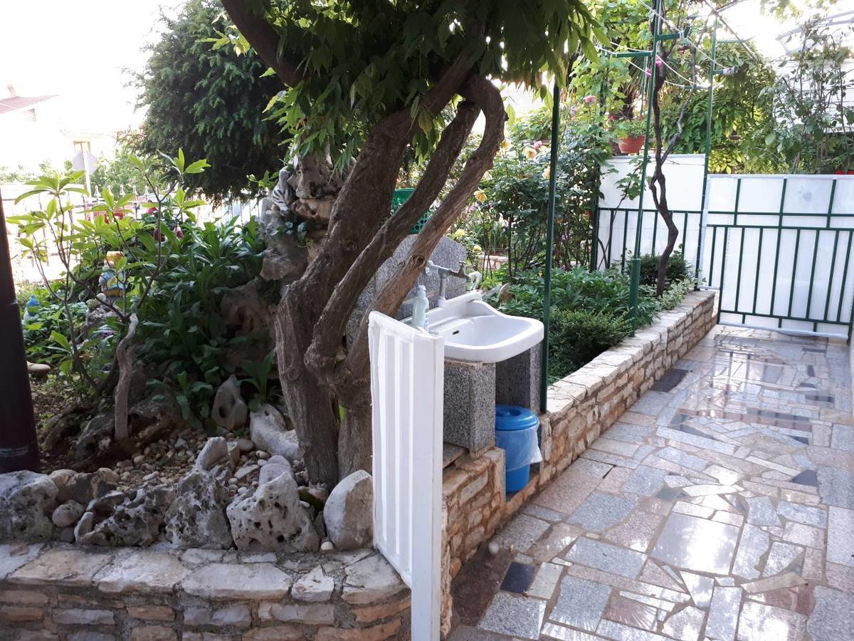 Apartments Anic Novigrad Istria Buitenkant foto